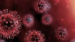 ویروس کرونا چیست؟ راه های پیشگیری و درمان